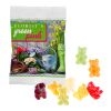Fruit Gum STANDARD 10 g, VEGAN in a Compostable Bag Without Branding