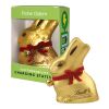 Lindt & Sprüngli Chocolate Bunny in a Gift Box white | Without Branding