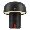 Kooduu Sensa Play JBL portable speaker and lamp Standard | Anthracite | not available | No Branding | not available | not available