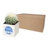 Hey Pots aluminium planted pot - cactus white | No Branding | not available | not available