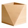 Citizen Green Hexawood pen holder Wood