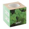 Herb pot wood "MINT" wood | No Branding | not available | not available | not available