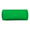 Plastic case with plasters Pocket light green