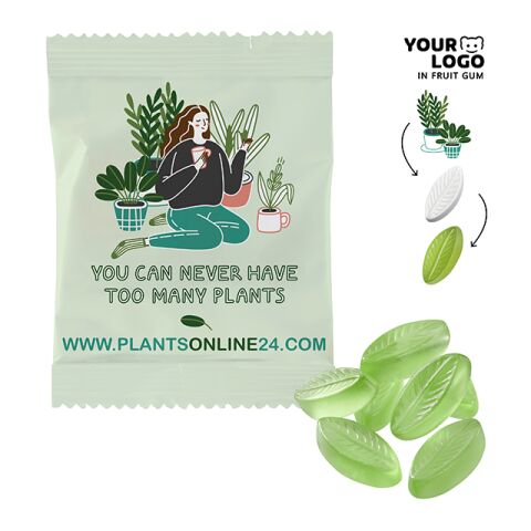 Fruit Gum CUSTOMISED 20 g in a Conventional Bag