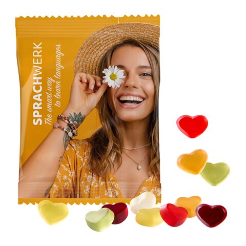 VEGAN Fruit Gum STANDARD Shapes 20 g in a Conventional Bag