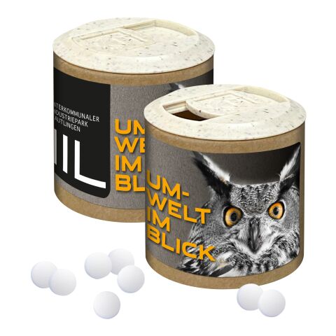 Paper Promo Tin with Peppermint Pastilles Without Branding