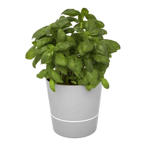 Herbs single kitchen pot Standard | Grey | No Branding | not available | not available