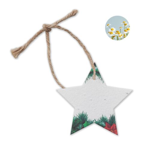 Seed paper Xmas ornament, Star white | Without Branding | not available | not available
