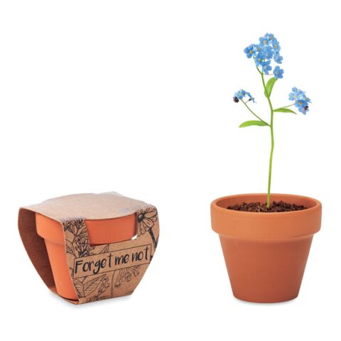 Terracotta pot &#039;forget me not&#039; wood | Without Branding | not available | not available | not available