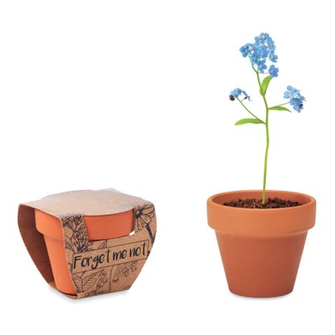 Terracotta pot 'forget me not'