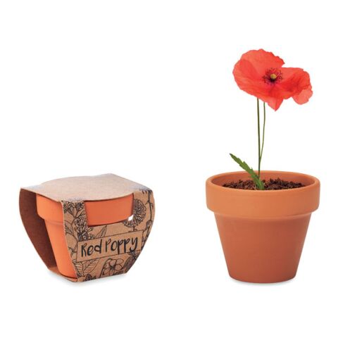 Terracotta pot &#039;poppy&#039; wood | Without Branding | not available | not available | not available