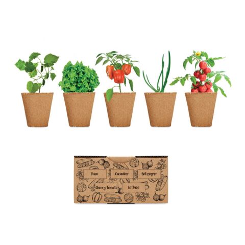 Salad growing kit beige | Without Branding | not available | not available | not available