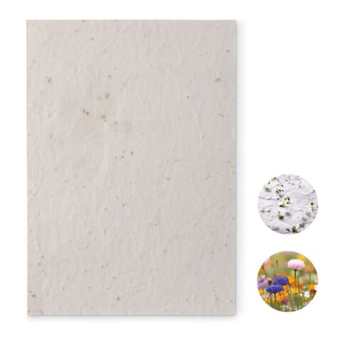 A5 wildflower seed paper sheet white | Without Branding | not available | not available