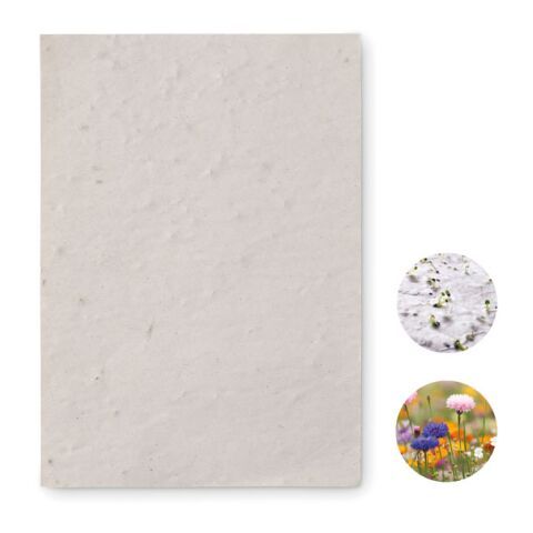 A6 wildflower seed paper sheet white | Without Branding | not available | not available