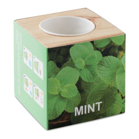 Herb pot wood &quot;MINT&quot; wood | Without Branding | not available | not available | not available