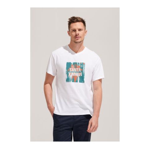 VICTORY V-NECK T-SHIRT 150 Grey Melange | M | 1-color Screen Print | BACK | 280 mm x 400 mm | not available