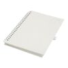 Dairy Dream A5 size reference spiral notebook Standard | Ivory white | Not applicable | No Branding | not available | not available | not available