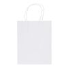 Kraft 120 g/m2 paper bag with twisted handles - 18 x 9 x 23 cm White