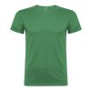 Beagle short sleeve kids t-shirt Standard | Kelly Green | 7/8 | No Branding | not available | not available | not available