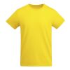 Breda short sleeve men's t-shirt Standard | Yellow | roly-2XL | No Branding | not available | not available | not available