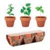 Terracotta 3 herb pot set wood | No Branding | not available | not available | not available
