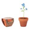 Terracotta pot 'forget me not' wood | No Branding | not available | not available | not available