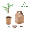 Pine tree set beige | No Branding | not available | not available | not available