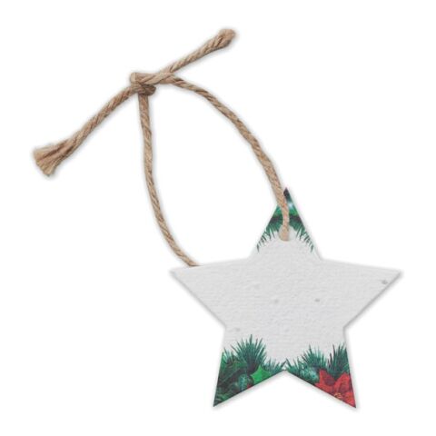 Seed paper Xmas ornament, Star white | No Branding | not available | not available
