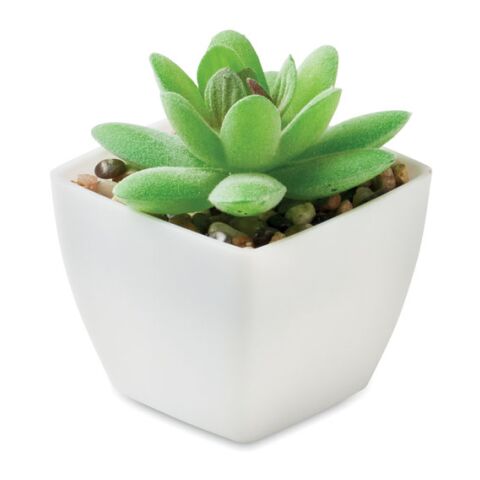 Mini artificial plant white | No Branding | not available | not available | not available