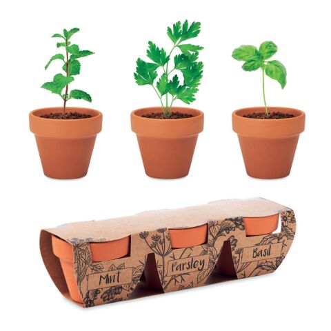 Terracotta 3 herb pot set wood | No Branding | not available | not available | not available