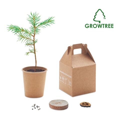 Pine tree set beige | No Branding | not available | not available | not available