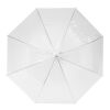 Kate 23" transparent auto open umbrella Standard | White | No Branding | not available | not available