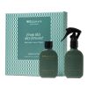 Wellmark Tender Affection 50 ml room spray and 50 ml diffuser gift set Green flash