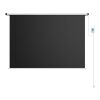 Prixton Cinema Max 100" projection screen white | No Branding