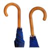 Citizen Green Drache 23" recycled umbrella Navy