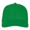 Ares 6 panel cap Standard | Fern green | No Branding | not available | not available | not available