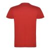 Beagle short sleeve kids t-shirt Standard | Red | 3/4 | No Branding | not available | not available | not available