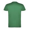 Beagle short sleeve kids t-shirt Standard | Kelly Green | 7/8 | No Branding | not available | not available | not available