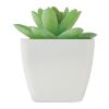 Mini artificial plant white | No Branding | not available | not available | not available