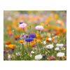 A5 wildflower seed paper sheet white | No Branding | not available | not available