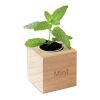 Herb pot wood "MINT" wood | No Branding | not available | not available | not available