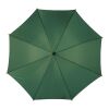 Umbrella Kelly | Automatic green
