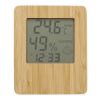 Bamboo weather station Piper bamboo