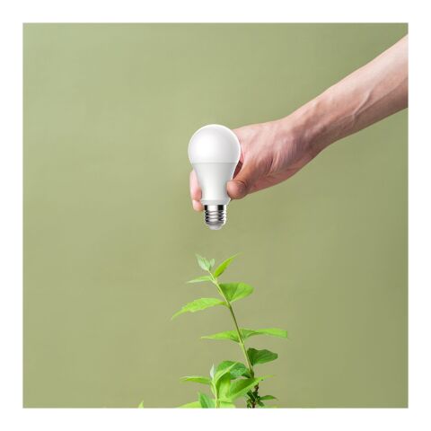 Prixton BW10 wifi lamp White | No Branding