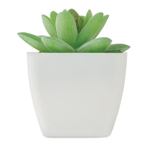 Mini artificial plant white | No Branding | not available | not available | not available