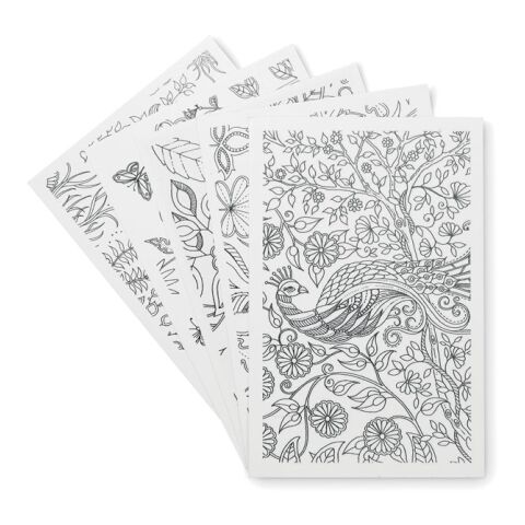 Drawing adult set white | No Branding | not available | not available | not available