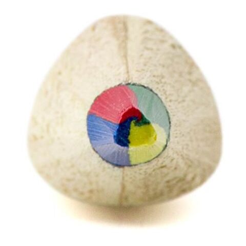 Multicoloured pencil Mae brown | No Branding | not available | not available