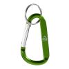Timor recycled aluminium carabiner keychain Green | not available