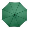 Kyle 23" auto open umbrella wooden shaft and handle Standard | Green | No Branding | not available | not available | not available
