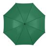 Barry 23" auto-open umbrella Standard | Green | not available | No Branding | not available | not available | not available